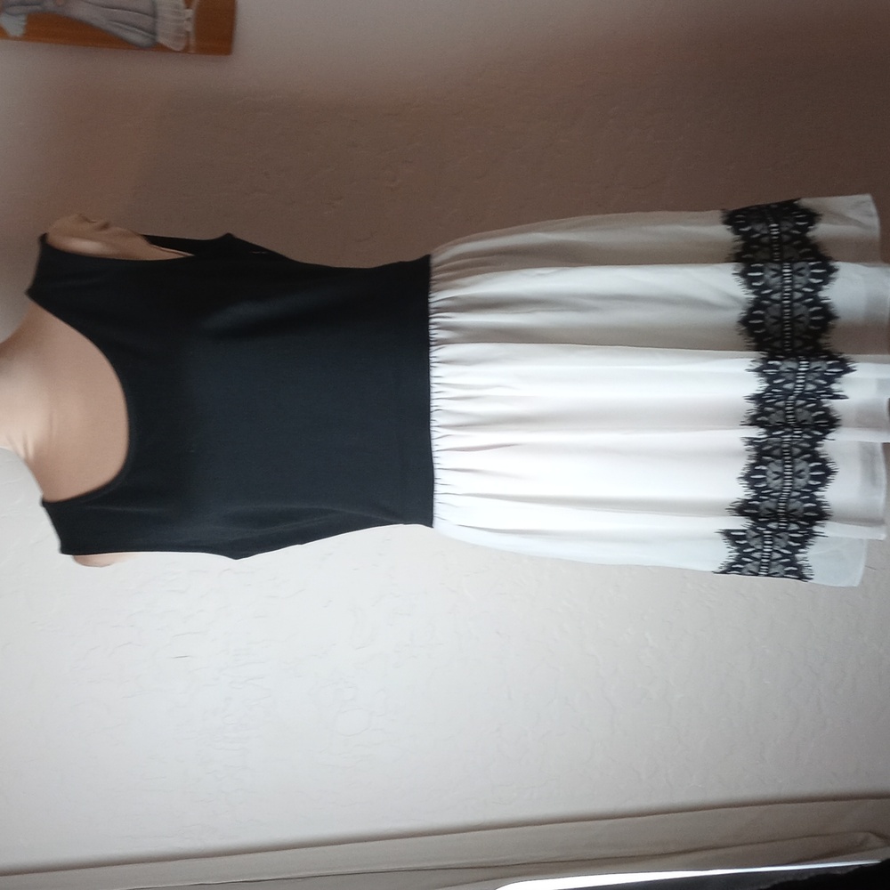 En Focus Petite Dress